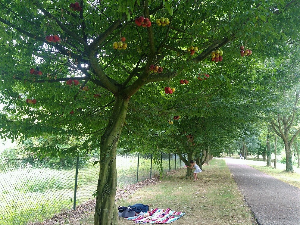 Natuurkunstpark 2018 | Pasvorm